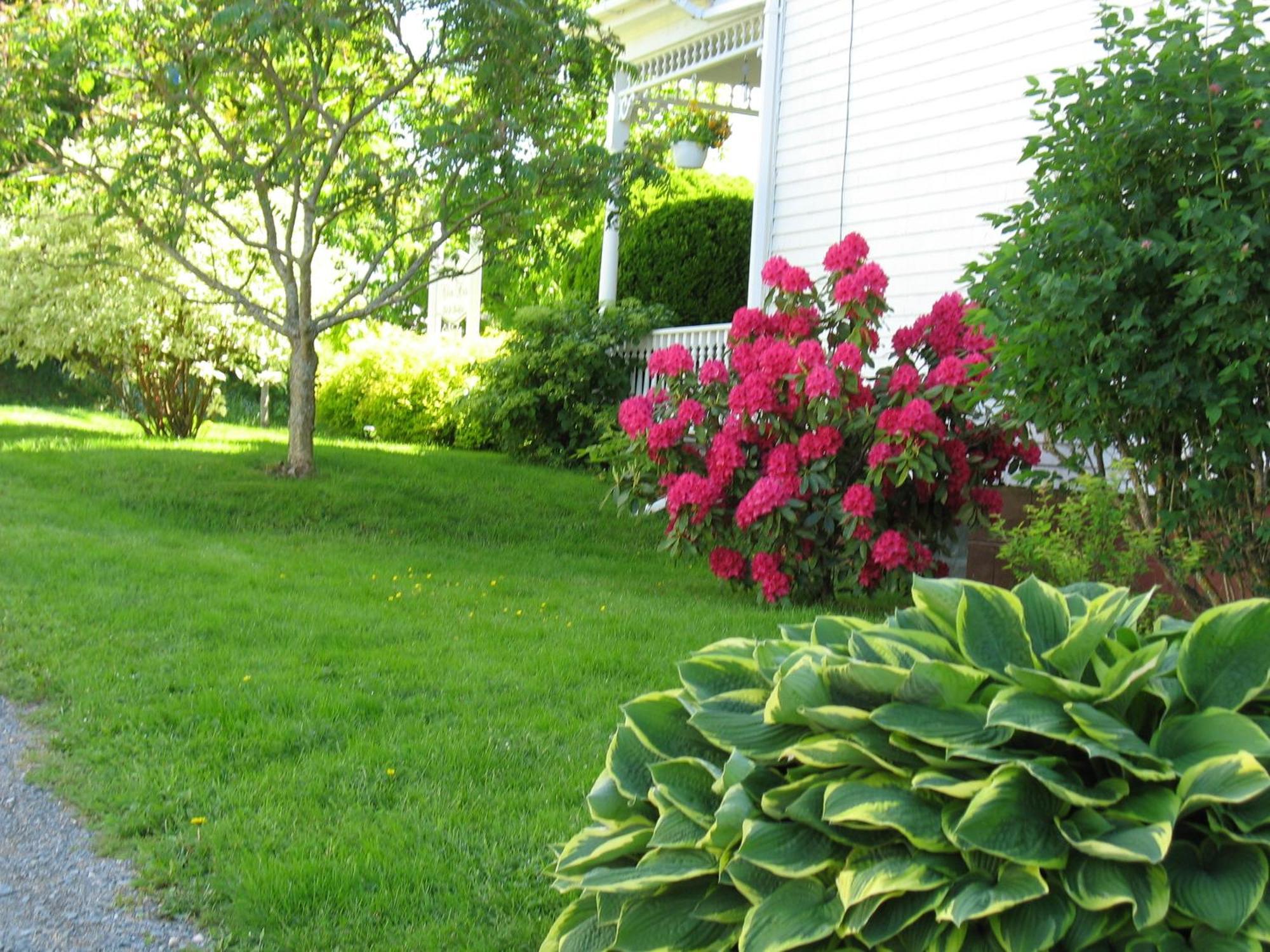 The Nelson House Bed And Breakfast Stewiacke Exterior foto