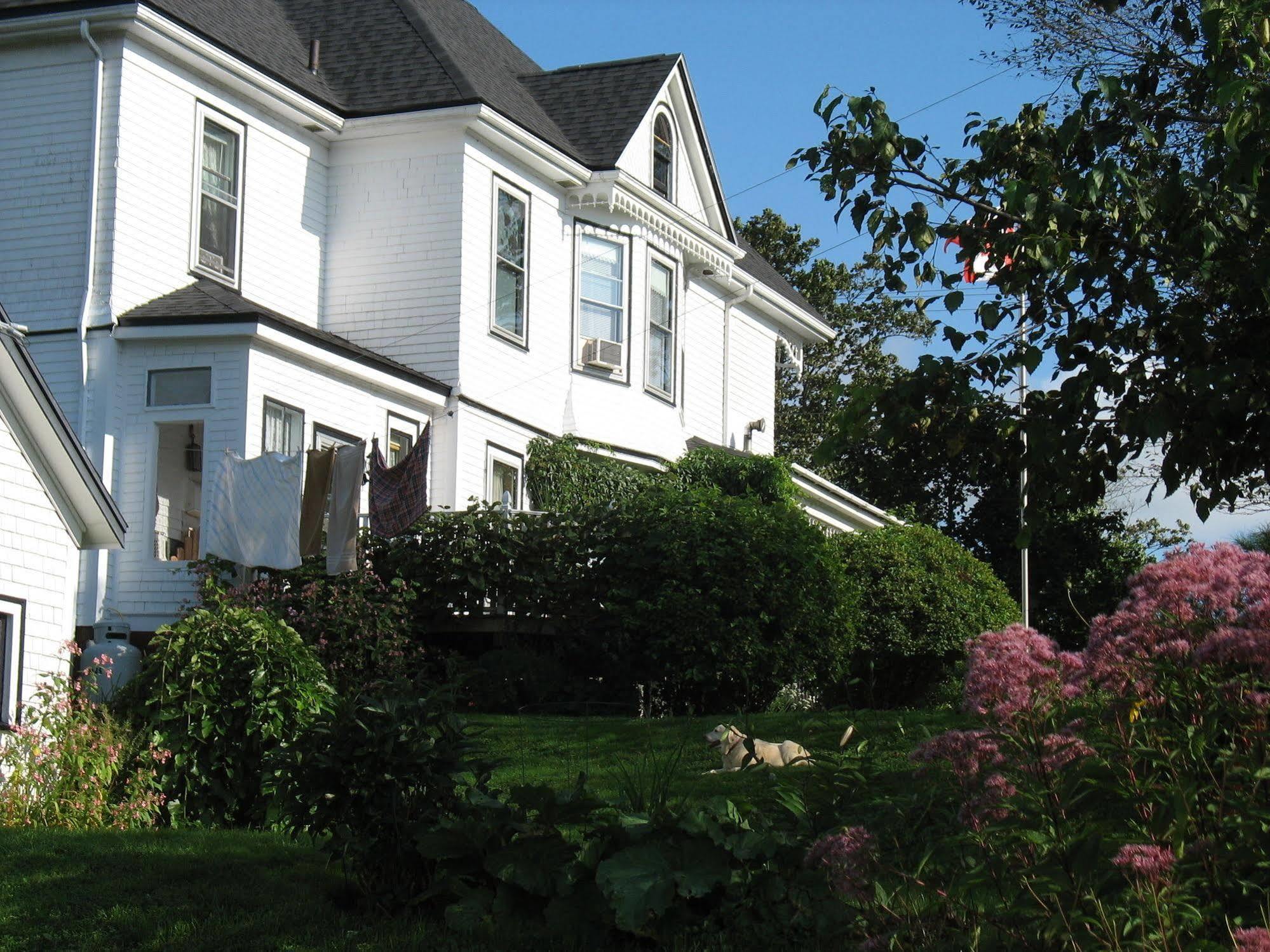 The Nelson House Bed And Breakfast Stewiacke Exterior foto